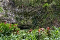 Fern Grotto || Kauai