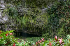 Fern Grotto || Kauai