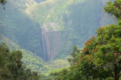 Halawa Valley || Molokai
