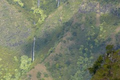 Kalalau Lookout || Kauai, Hawaii