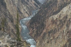 Lower Falls from Artist Point || Yellowstone NP