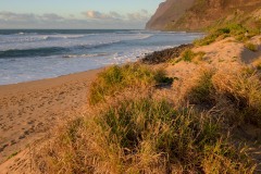 Polihale Beach || Kauai, Hawaii