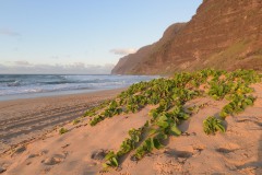 Polihale Beach || Kauai, Hawaii