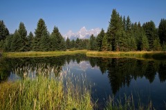 Schwabacher Landing || Grand Teton NP