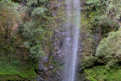 Uluwehi Falls || Kauai