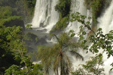 Iguazu Falls || Argentina