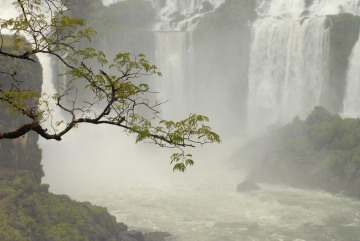 Iguazu Falls || Argentina