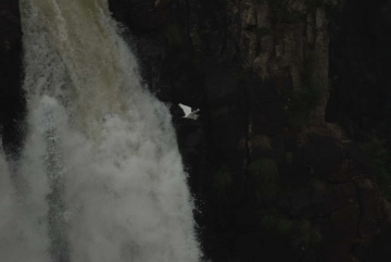 Iguazu Falls || Brazil