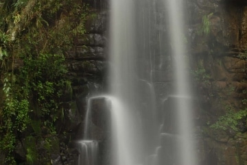 Study of Salto Chico || Iguazu Falls, Argentina