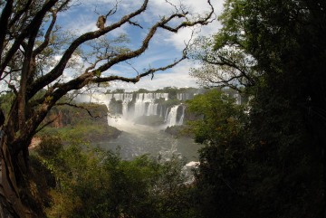 Upper Circuit || Iguazu Falls, Argentina