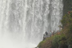Adam and Eve Waterfall || Iguazu Falls, Argentina