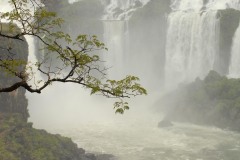 Iguazu Falls || Argentina