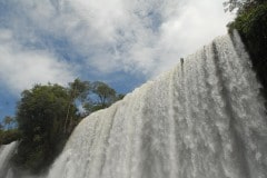 Waterfall of Adam and Eve || Iguazu Falls, Argentina