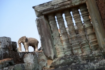 Pre Rup at Angkor || Siem Reap, Cambodia