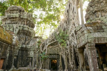 Ta Prohm at Angkor || Siem Reap, Cambodia