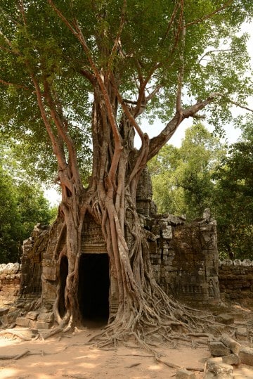 Ta Som at Angkor || Siem Reap, Cambodia