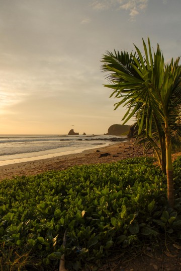 Afternoon Sun at Playa Madera || Nicaragua