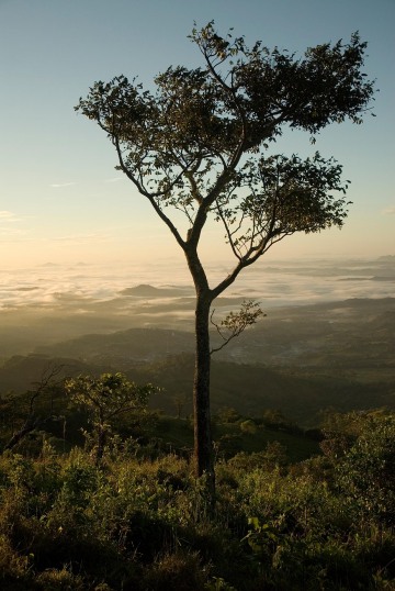 Cerro Musún || Nicaragua