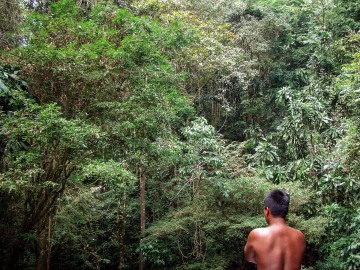 En Route to Emberá Village || Panama