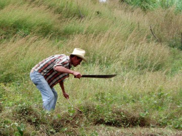 Matagalpa Farmer || Nicaragua