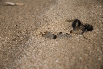 Playa || Playa Popoyo, Nicaragua