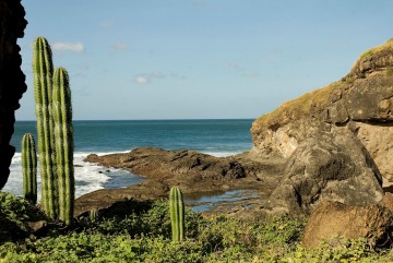 Playa Popoyo || Nicaragua