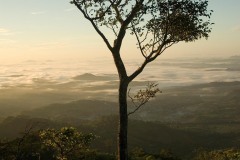 Cerro Musún || Nicaragua