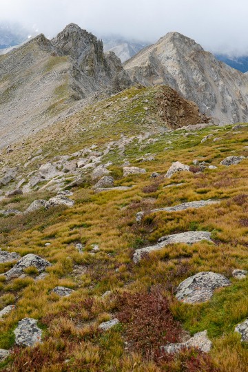 Alpine Ridge to Mt. Harvard || Colorado
