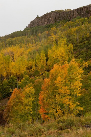 Autumn Splendor || Gunnison National Forest, Colorado