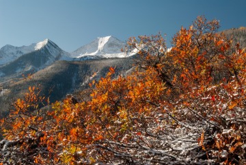 Autumn in the Elk Mountains || Colorado
