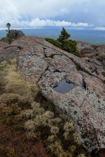 Devils Head || Colorado
