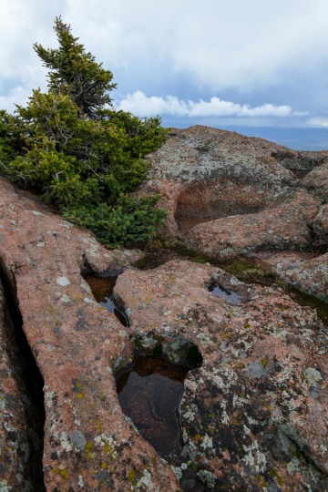 Devils Head || Colorado