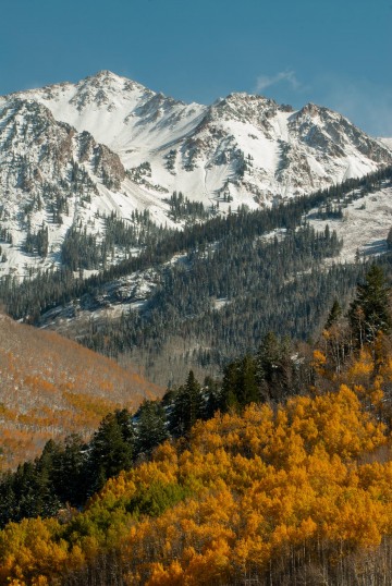 Elk Mountains in Fall || Colorado