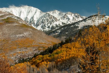 Elk Mountains in Fall || Colorado