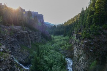 Evening in West Elk Wilderness || Colorado