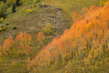 Fall Colors of Red Lady Basin || Crested Butte, CO