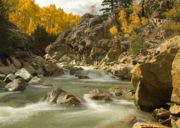 Fall on the Roaring Fork || Colorado
