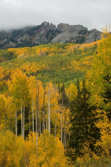Grand Dike of the Ruby Range in Fall || Elk Mountains, CO