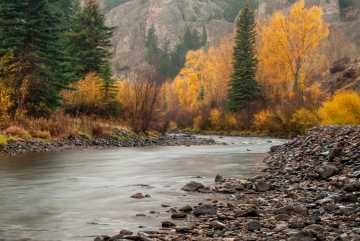 Lake Fork of the Gunnison in Fall || Colorado