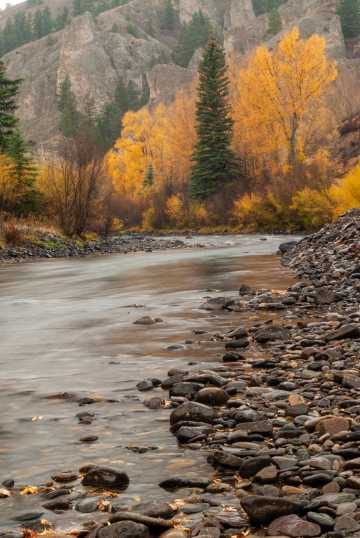 Lake Fork of the Gunnison in Fall || Colorado