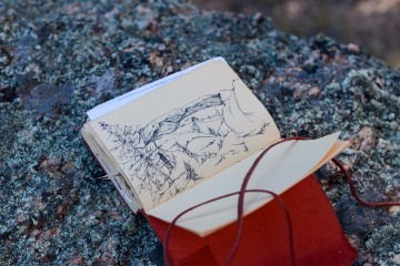 Lost Creek Wilderness Sketch || Colorado