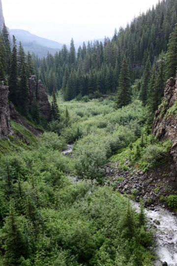Mill Creek Canyon || West Elk Wilderness, CO