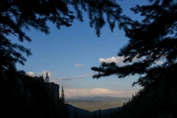 Mill Creek Valley framed by Pines || Gunnison National Forest, CO