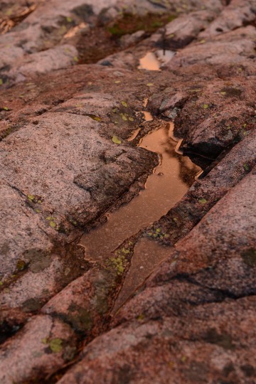 Puddle at Sunset || Mt of the Holy Cross, CO