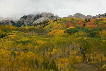 Ruby Range in Fall || Elk Mountains, CO