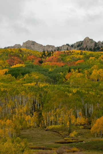 Ruby Range in Fall || Elk Mountains, CO