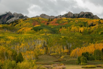 Ruby Range in Fall || Elk Mountains, CO