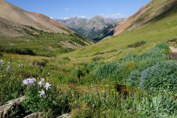 Silver Creek || Red Cloud Wilderness, CO