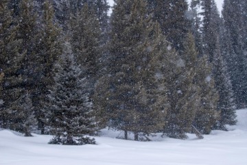 Snow over Pearl Lake || Pearl Lake State Park