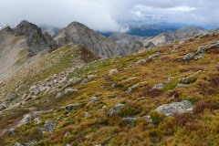 Alpine Ridge to Mt. Harvard || Colorado